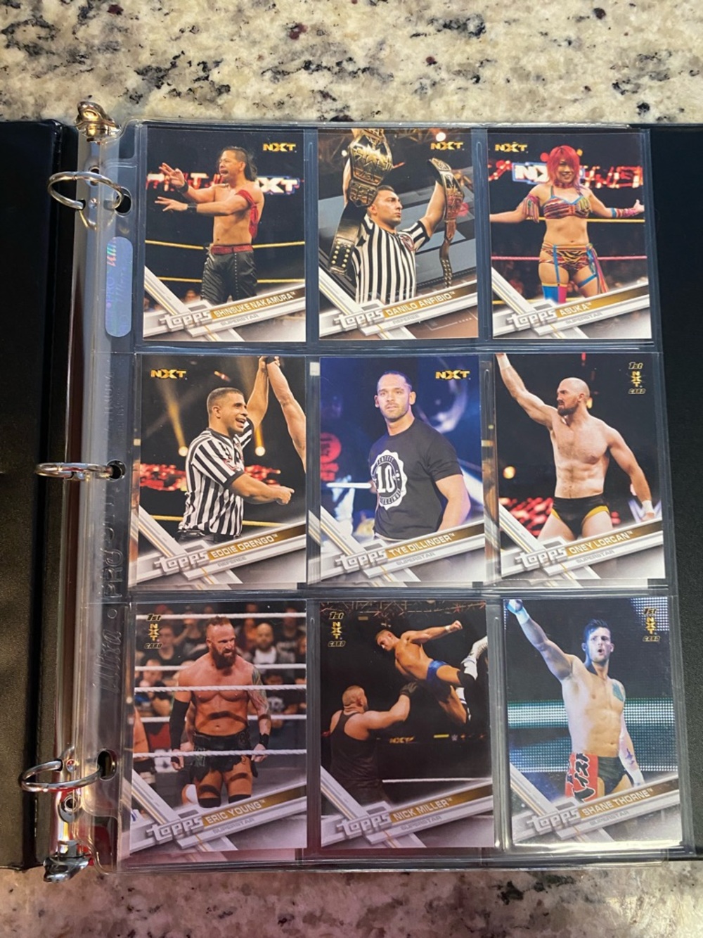 Lot of 13 WWE NXT Topps Wrestling Trading Cards